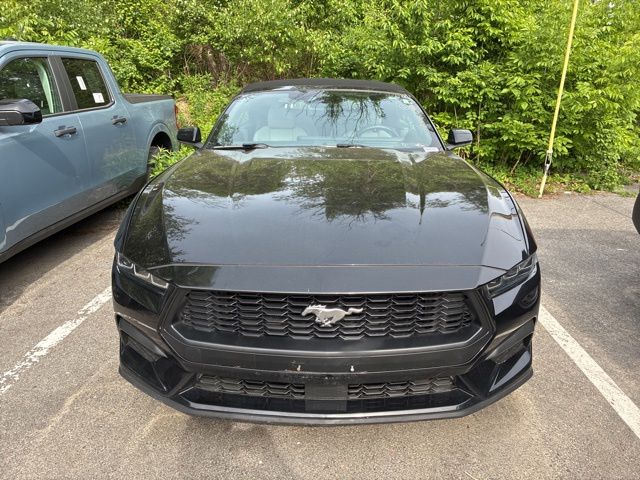 ford mustang 2024 1FAGP8UH5R5120424 image ford mustang 2024 1FAGP8UH5R5120424 image