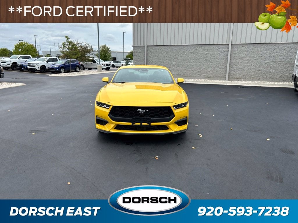 ford mustang 2024 1FA6P8THXR5102384 image ford mustang 2024 1FA6P8THXR5102384 image