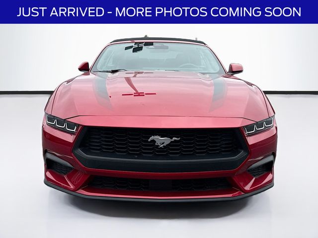 ford mustang 2024 1FAGP8UH5R5119421 image ford mustang 2024 1FAGP8UH5R5119421 image