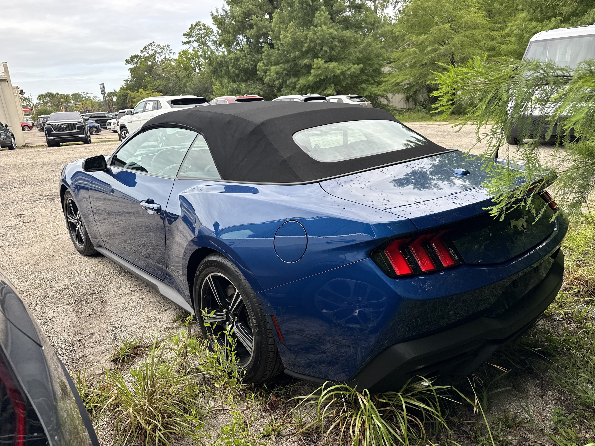 ford mustang 2024 1FAGP8UH5R5101016 image ford mustang 2024 1FAGP8UH5R5101016 image