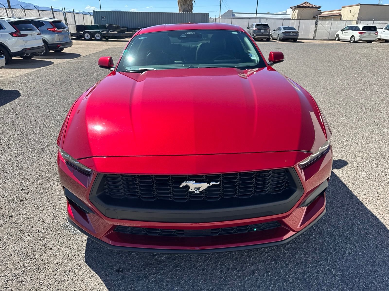 ford mustang 2024 1FA6P8TH8R5132712 image ford mustang 2024 1FA6P8TH8R5132712 image