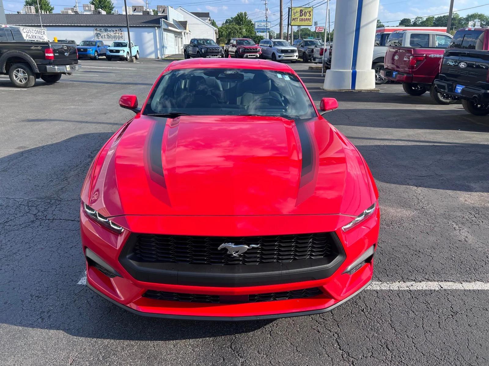 ford mustang 2024 1FA6P8TH4R5137129 image ford mustang 2024 1FA6P8TH4R5137129 image