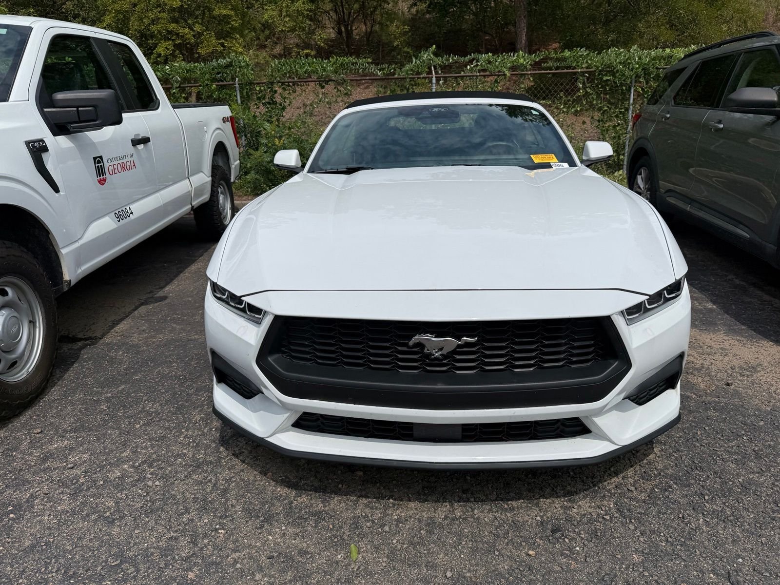 ford mustang 2024 1FAGP8UH2R5126441 image ford mustang 2024 1FAGP8UH2R5126441 image