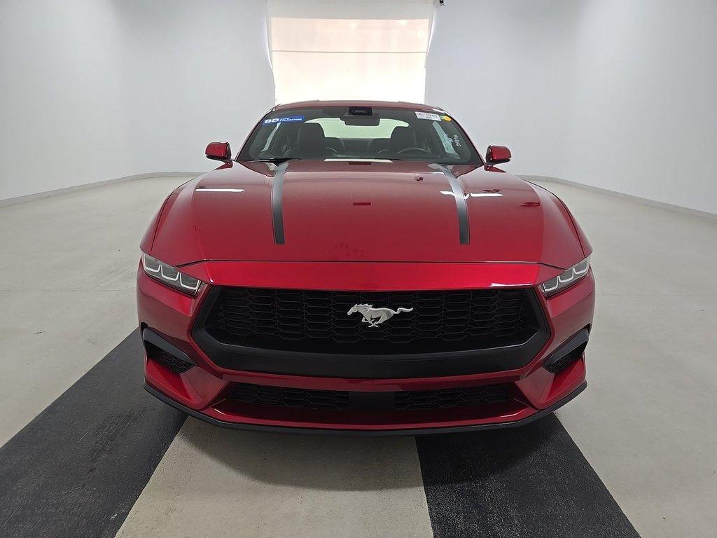 ford mustang 2024 1FA6P8TH3R5100413 image ford mustang 2024 1FA6P8TH3R5100413 image