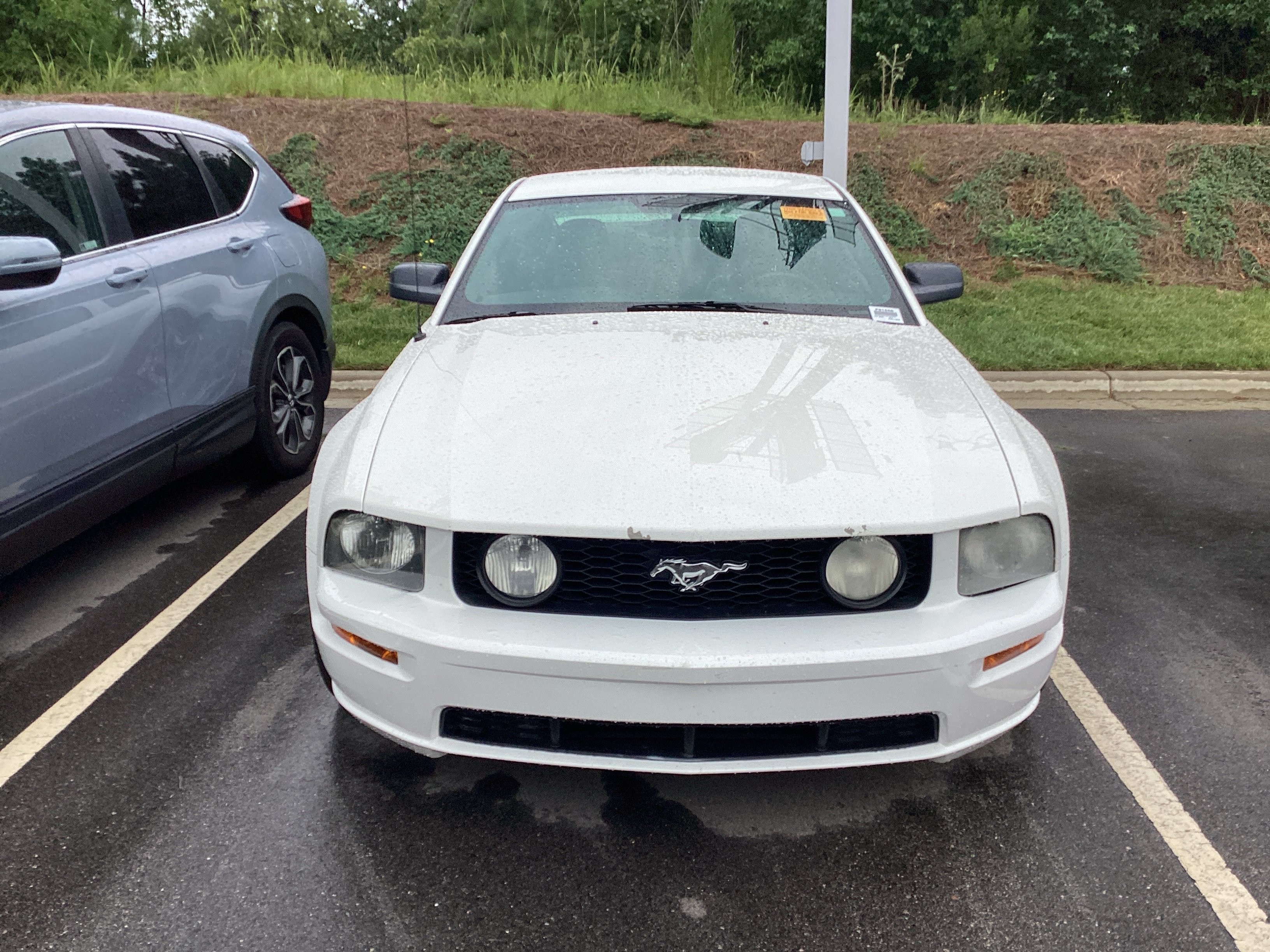 ford mustang 2006 1ZVHT82H165194235 image ford mustang 2006 1ZVHT82H165194235 image