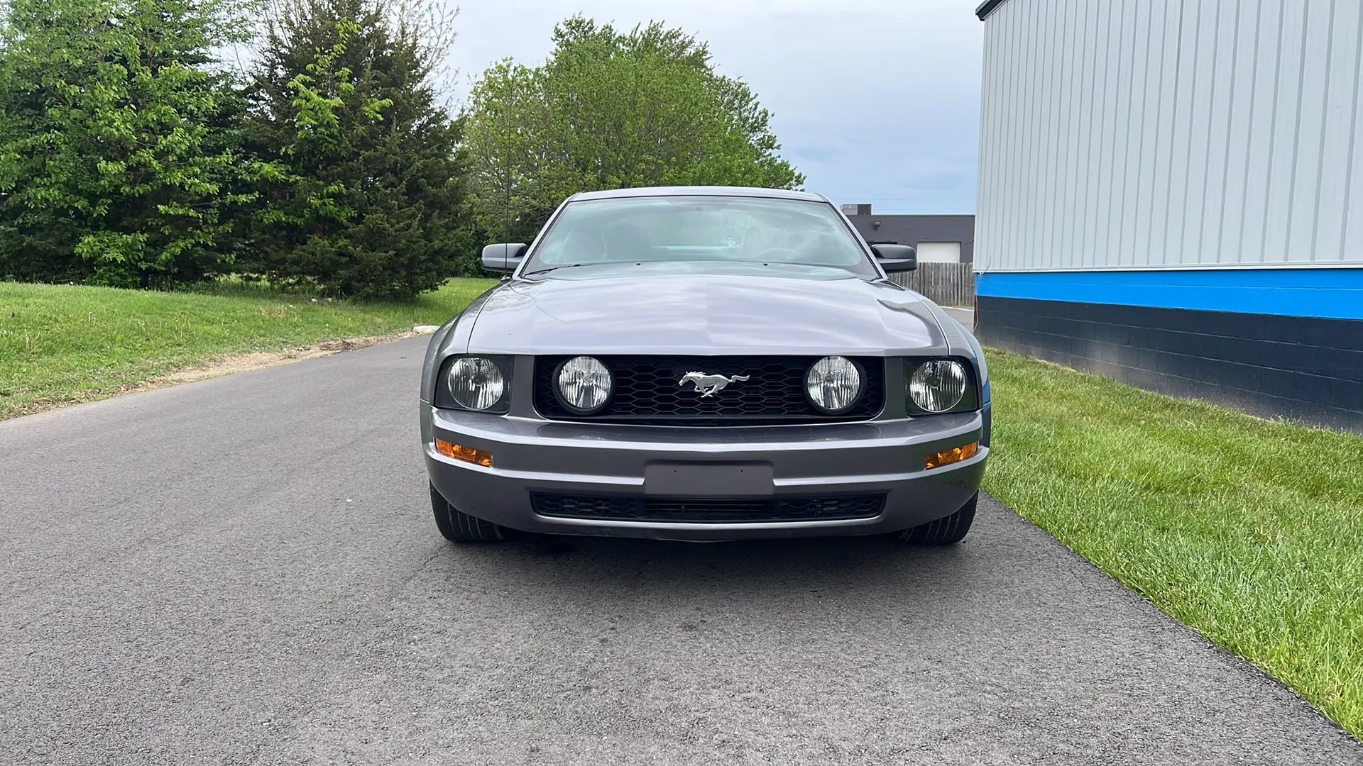 Ford Mustang 2006 1ZVFT80N765193073 image Ford Mustang 2006 1ZVFT80N765193073 image