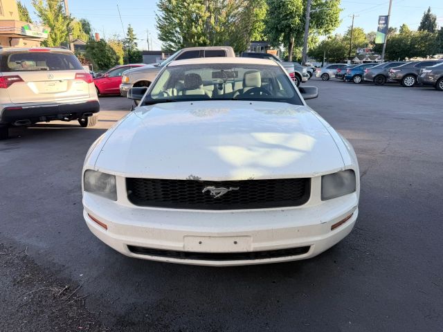 ford mustang 2006 1ZVFT80N065253095 image ford mustang 2006 1ZVFT80N065253095 image