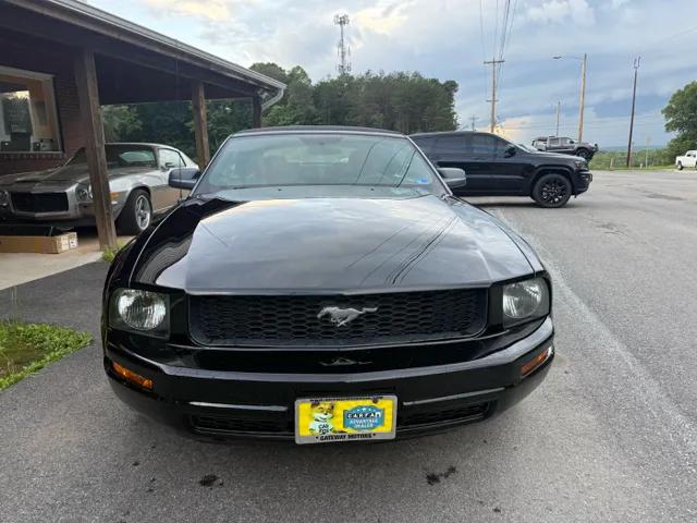 ford mustang 2006 1ZVHT84N165105198 image ford mustang 2006 1ZVHT84N165105198 image
