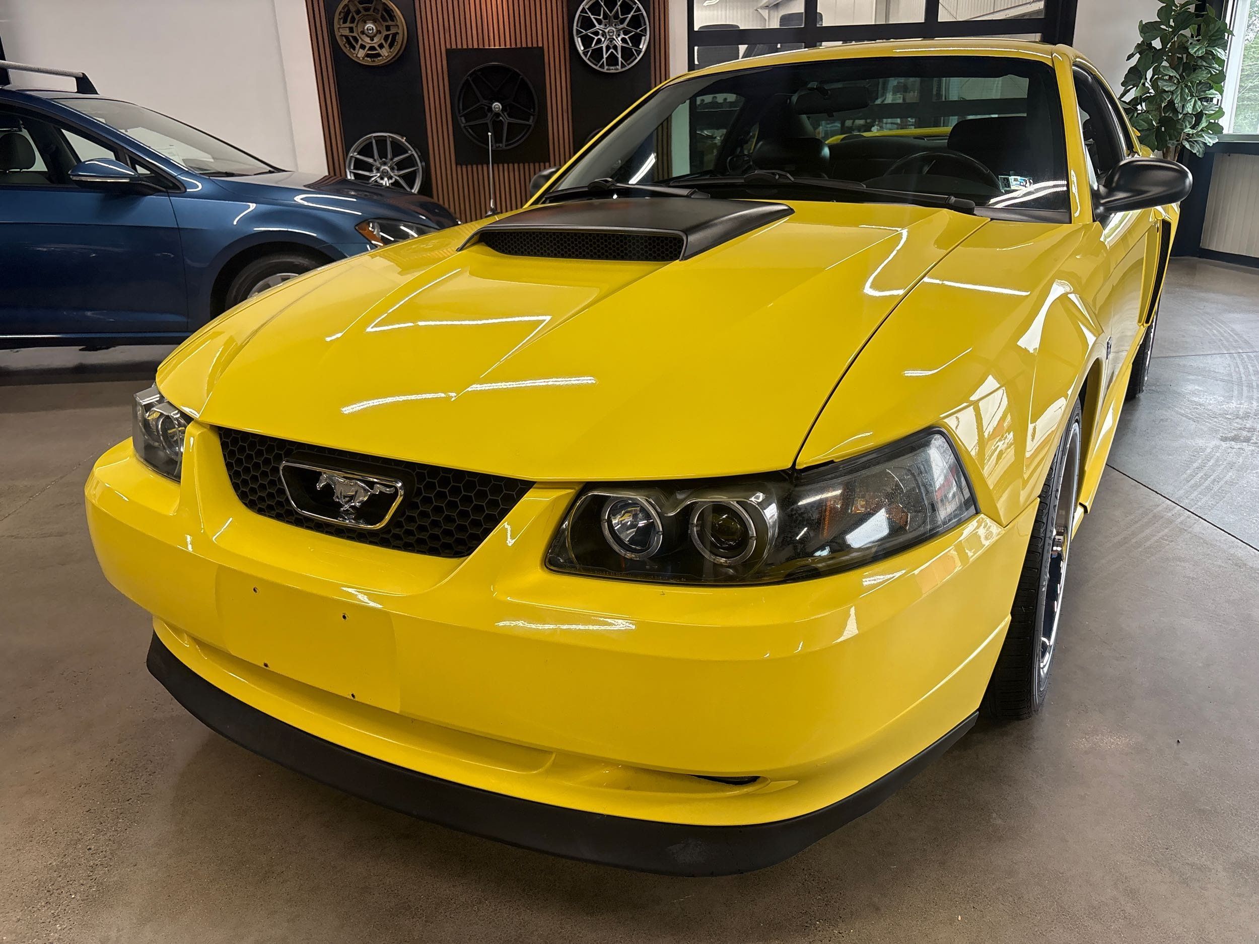 ford mustang 2003 1FAFP42X53F322812 image ford mustang 2003 1FAFP42X53F322812 image
