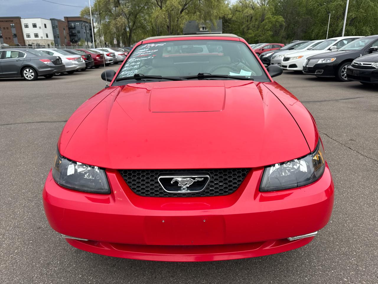 ford mustang 2003 1FAFP44473F391939 image ford mustang 2003 1FAFP44473F391939 image