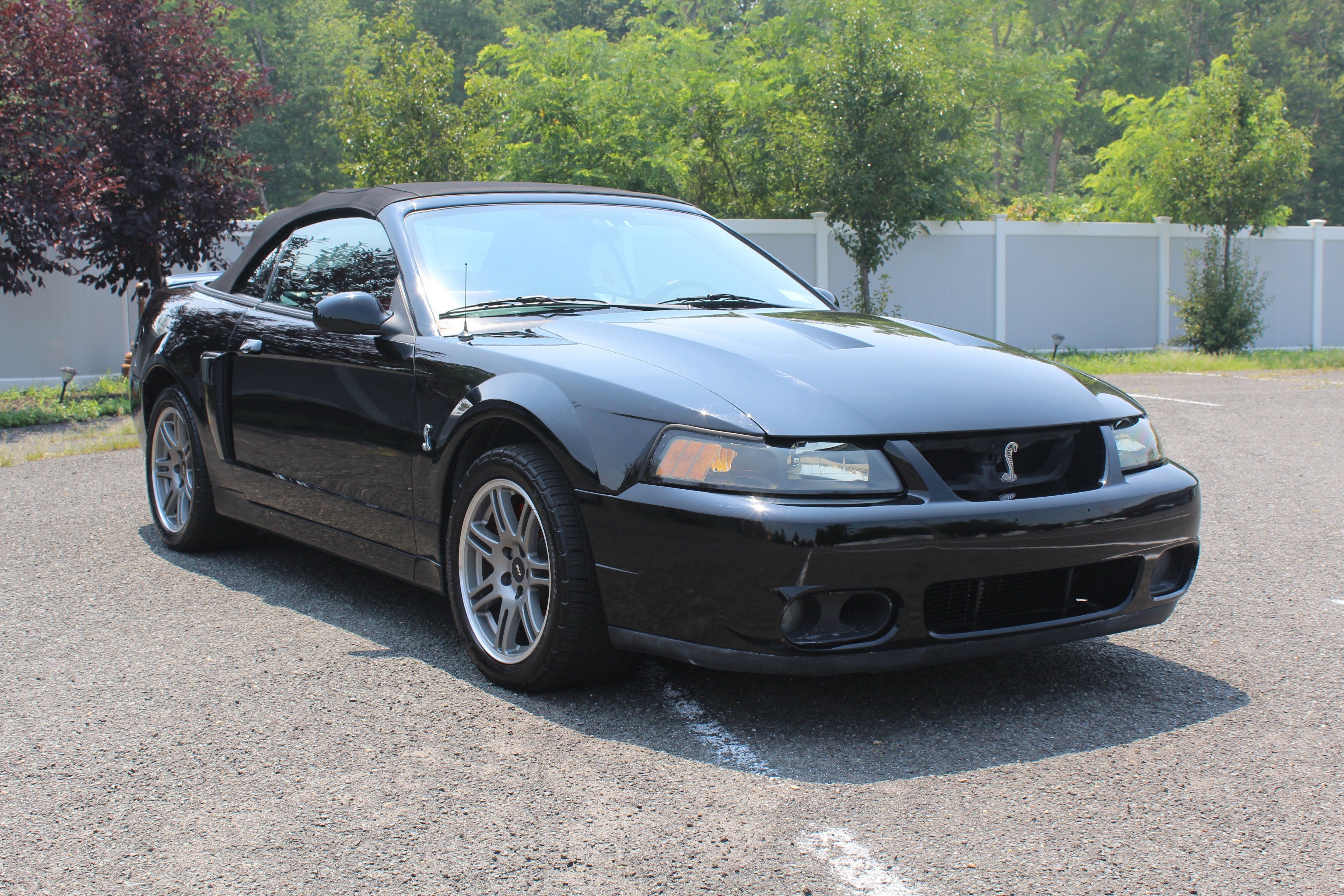 ford mustang 2003 1FAFP49Y23F444123 image ford mustang 2003 1FAFP49Y23F444123 image