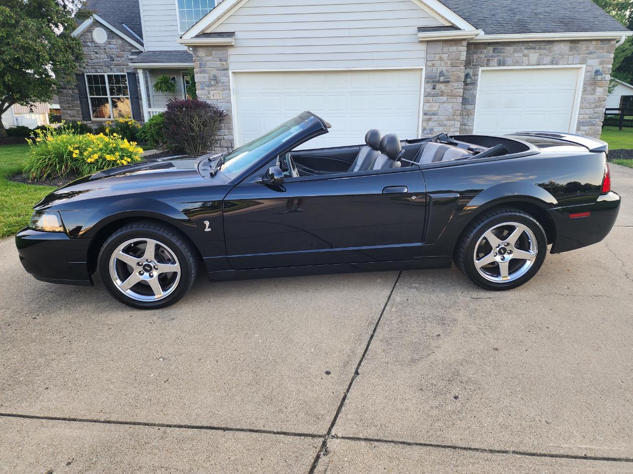ford mustang 2003 1FAFP49Y03F399795 image ford mustang 2003 1FAFP49Y03F399795 image