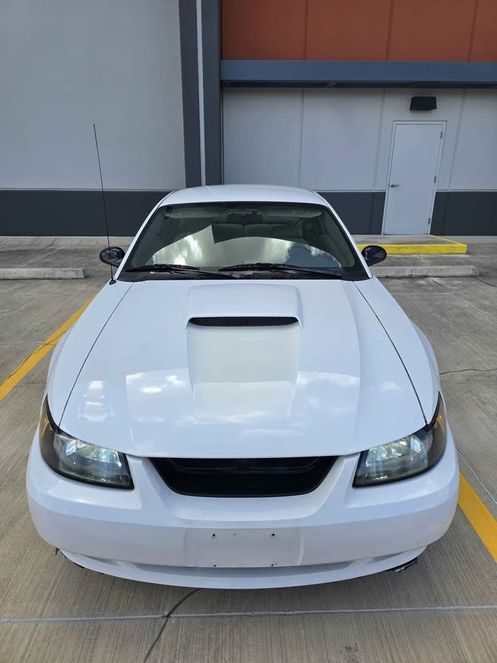 ford mustang 2003 1FAFP42X63F388897 image ford mustang 2003 1FAFP42X63F388897 image