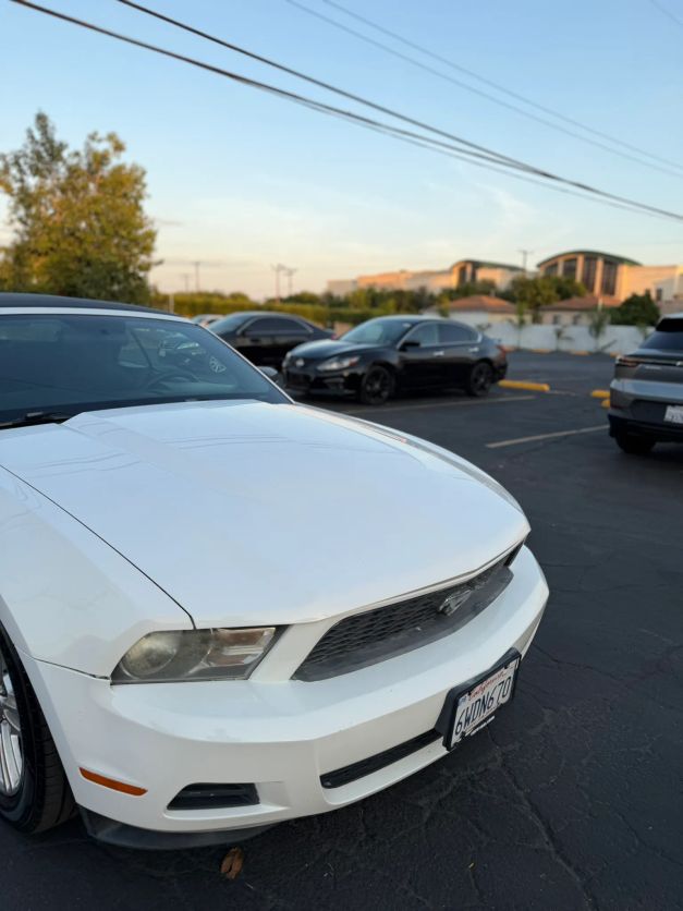 ford mustang 2010 1ZVBP8EN8A5169482 image ford mustang 2010 1ZVBP8EN8A5169482 image