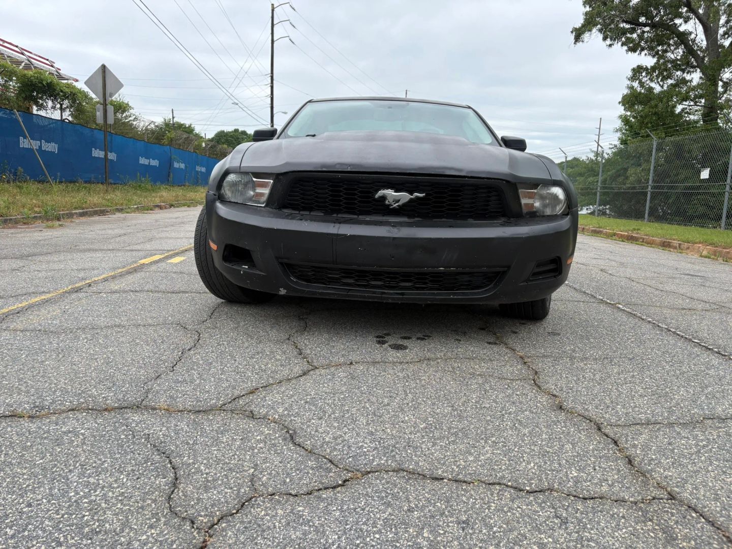 ford mustang 2010 1ZVBP8AN9A5165270 image ford mustang 2010 1ZVBP8AN9A5165270 image