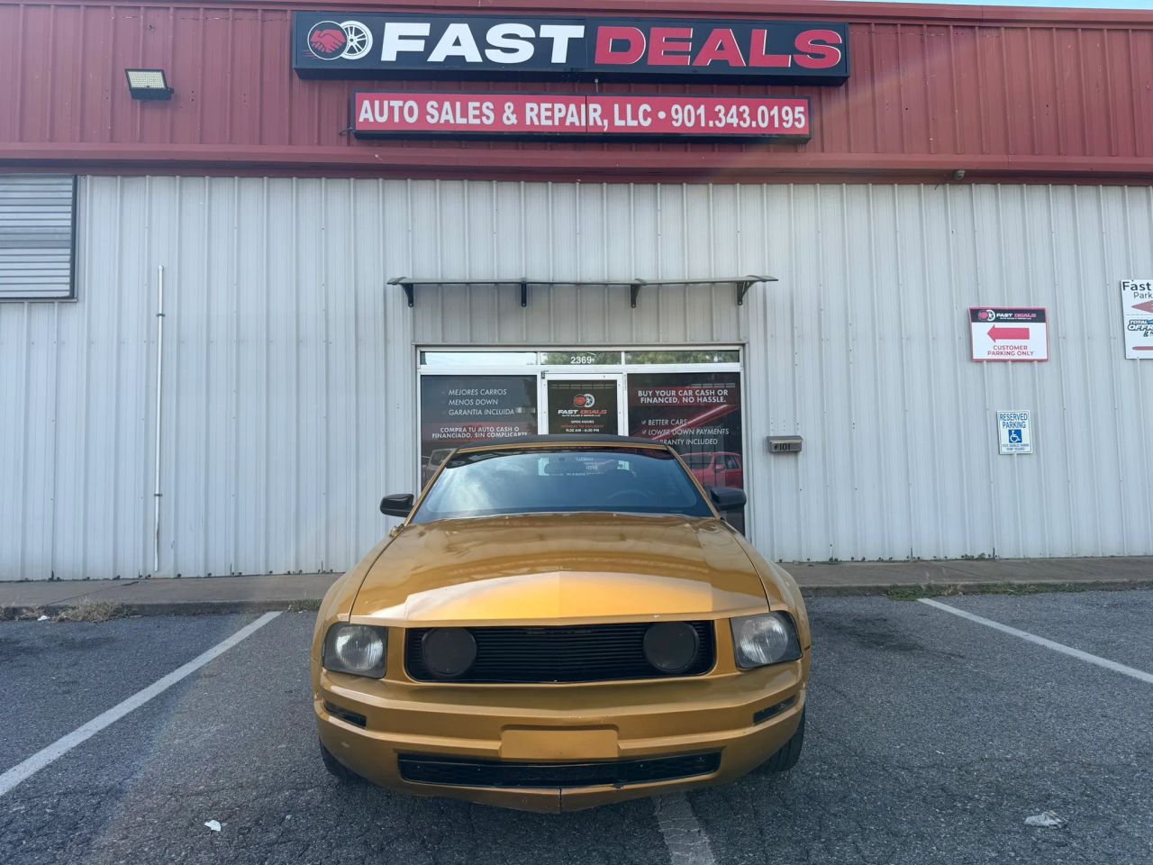 ford mustang 2010 1ZVBP8EN3A5167638 image ford mustang 2010 1ZVBP8EN3A5167638 image