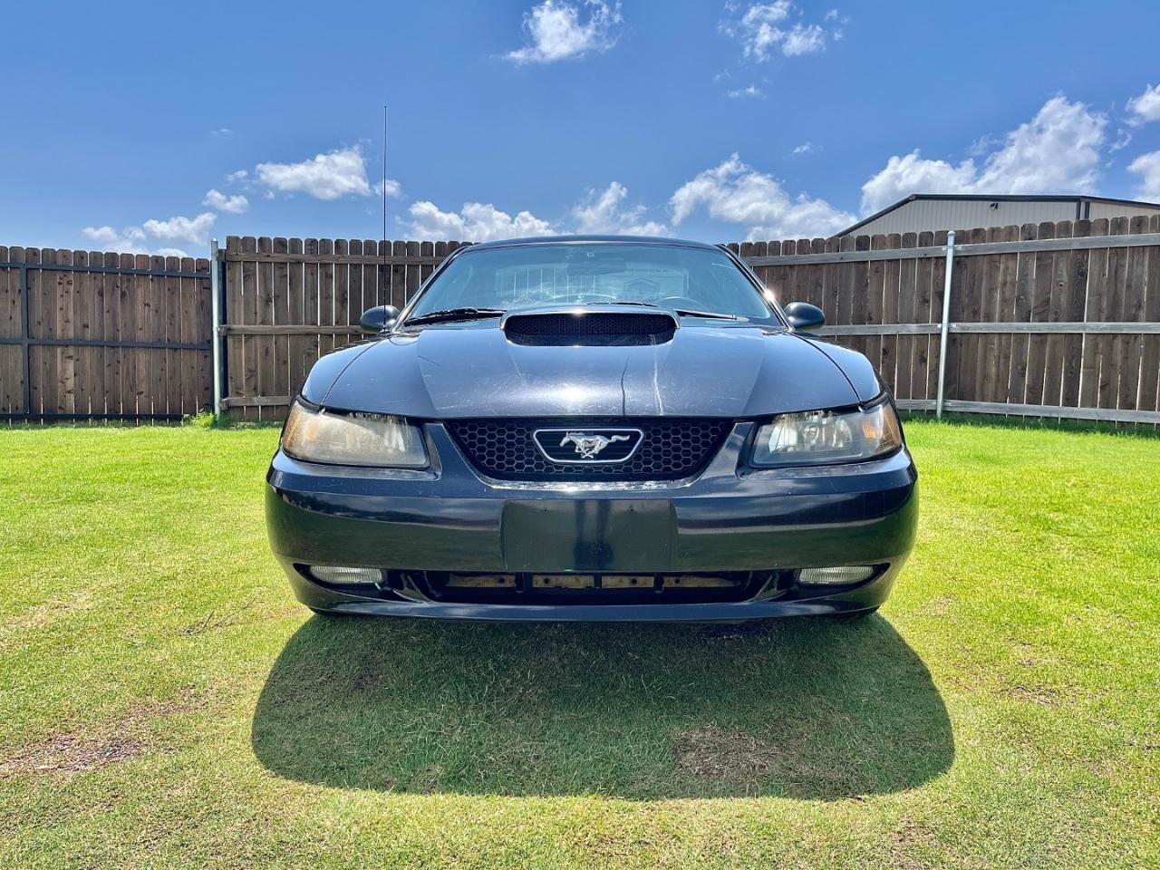 ford mustang 2001 1FAFP42X81F116672 image ford mustang 2001 1FAFP42X81F116672 image