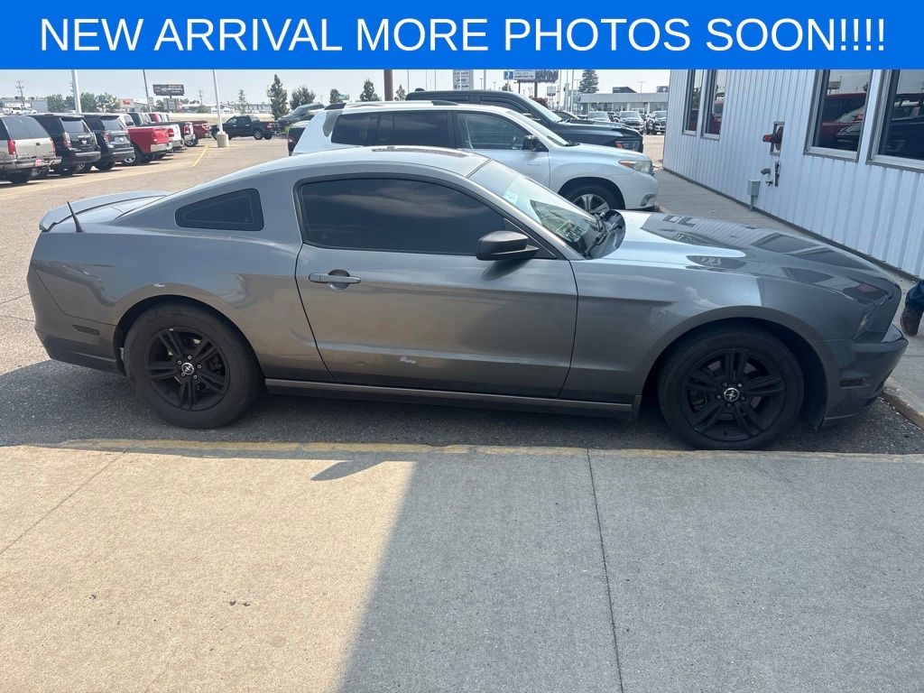 ford mustang 2014 1ZVBP8AM2E5256376 image ford mustang 2014 1ZVBP8AM2E5256376 image