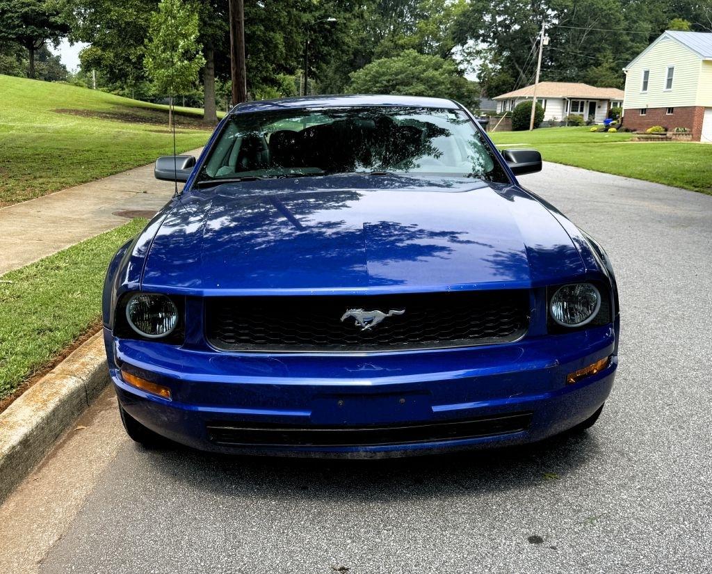 ford mustang 2005 1ZVFT80N655136250 image ford mustang 2005 1ZVFT80N655136250 image