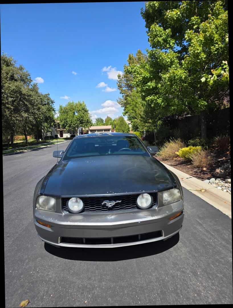 ford mustang 2005 1ZVHT82H455201211 image ford mustang 2005 1ZVHT82H455201211 image
