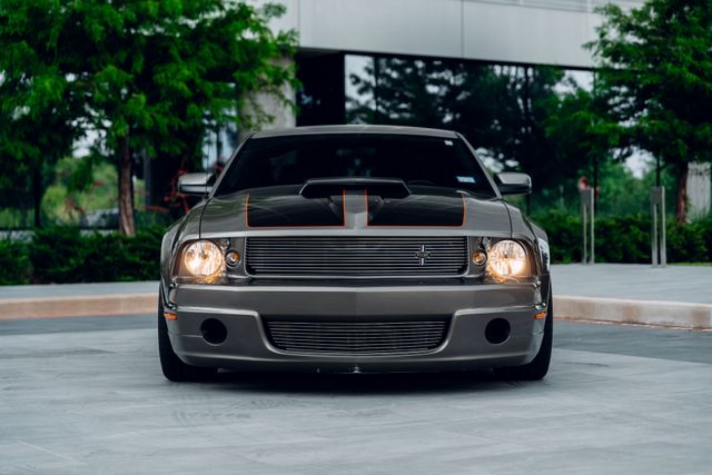 ford mustang 2005 1ZVHT82H655104768 image ford mustang 2005 1ZVHT82H655104768 image
