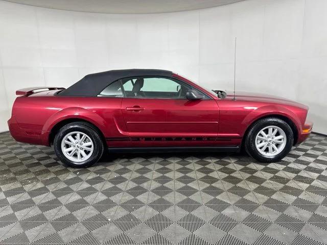 ford mustang 2005 1ZVFT84N655191310 image ford mustang 2005 1ZVFT84N655191310 image