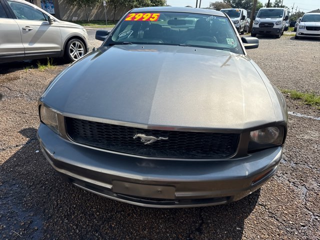 ford mustang 2005 1ZVFT80N255243988 image ford mustang 2005 1ZVFT80N255243988 image