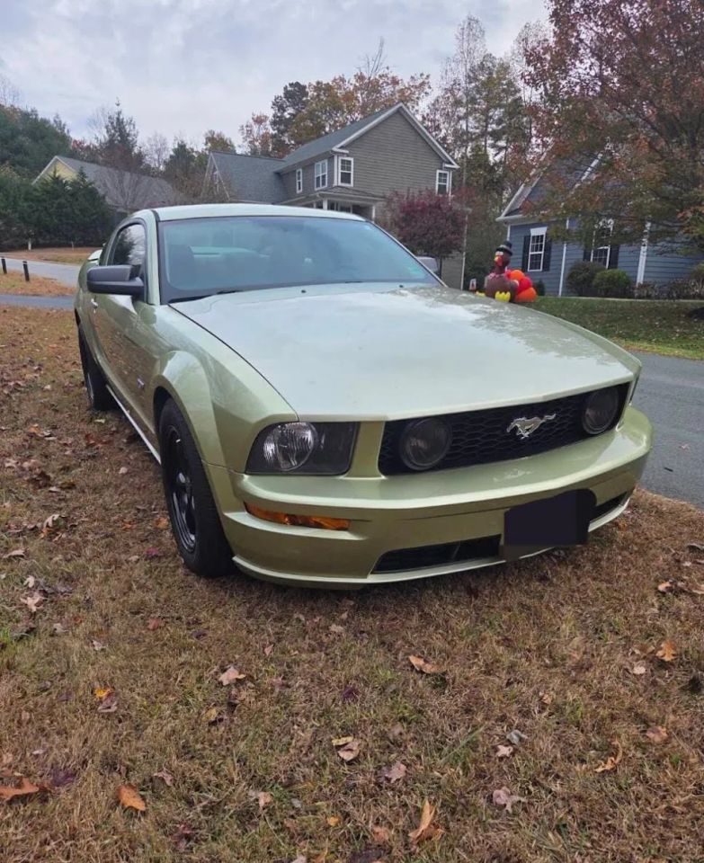 ford mustang 2005 1ZVFT82H255123342 image ford mustang 2005 1ZVFT82H255123342 image