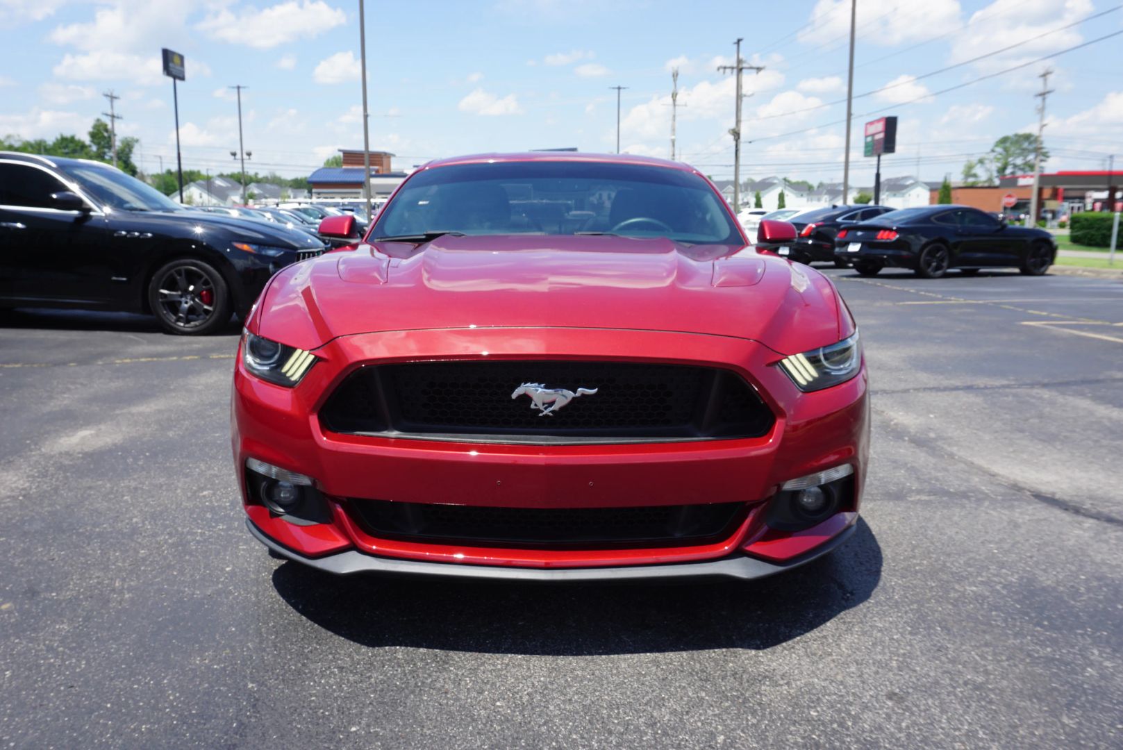 ford mustang 2015 1FA6P8CF9F5308399 image ford mustang 2015 1FA6P8CF9F5308399 image