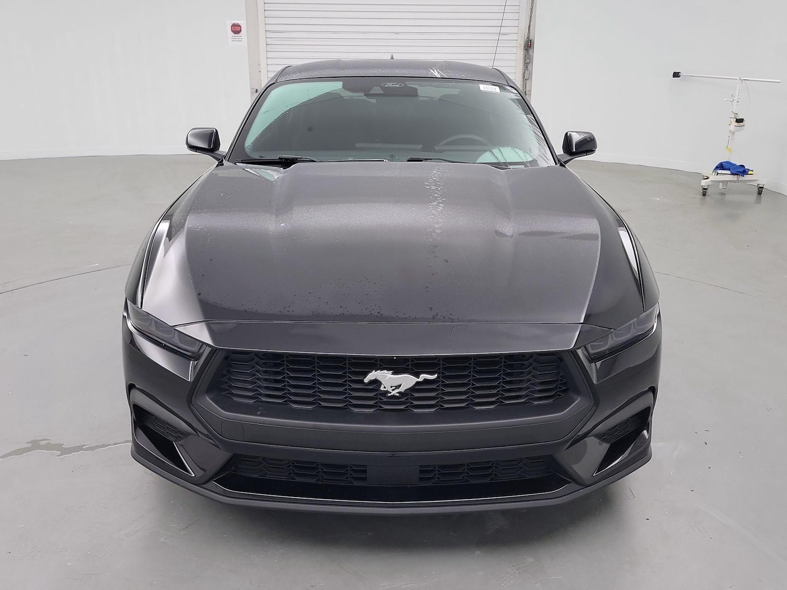 ford mustang 2025 1FA6P8TH9S5115343 image ford mustang 2025 1FA6P8TH9S5115343 image