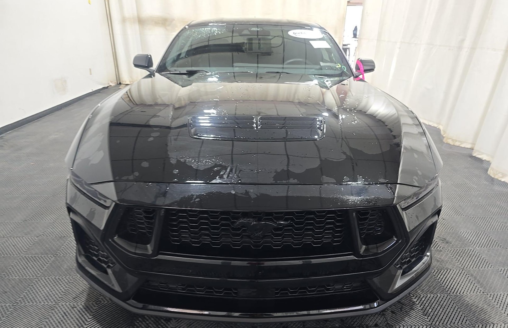 ford mustang 2025 1FA6P8CF4S5404354 image ford mustang 2025 1FA6P8CF4S5404354 image