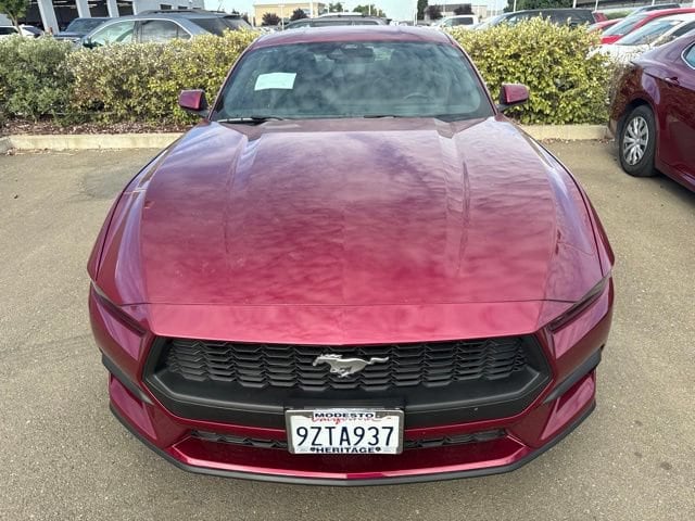 ford mustang 2025 1FA6P8TH8S5120226 image ford mustang 2025 1FA6P8TH8S5120226 image