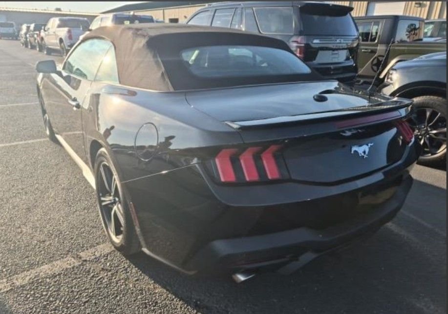 ford mustang 2025 1FAGP8UH7S5106384 image ford mustang 2025 1FAGP8UH7S5106384 image
