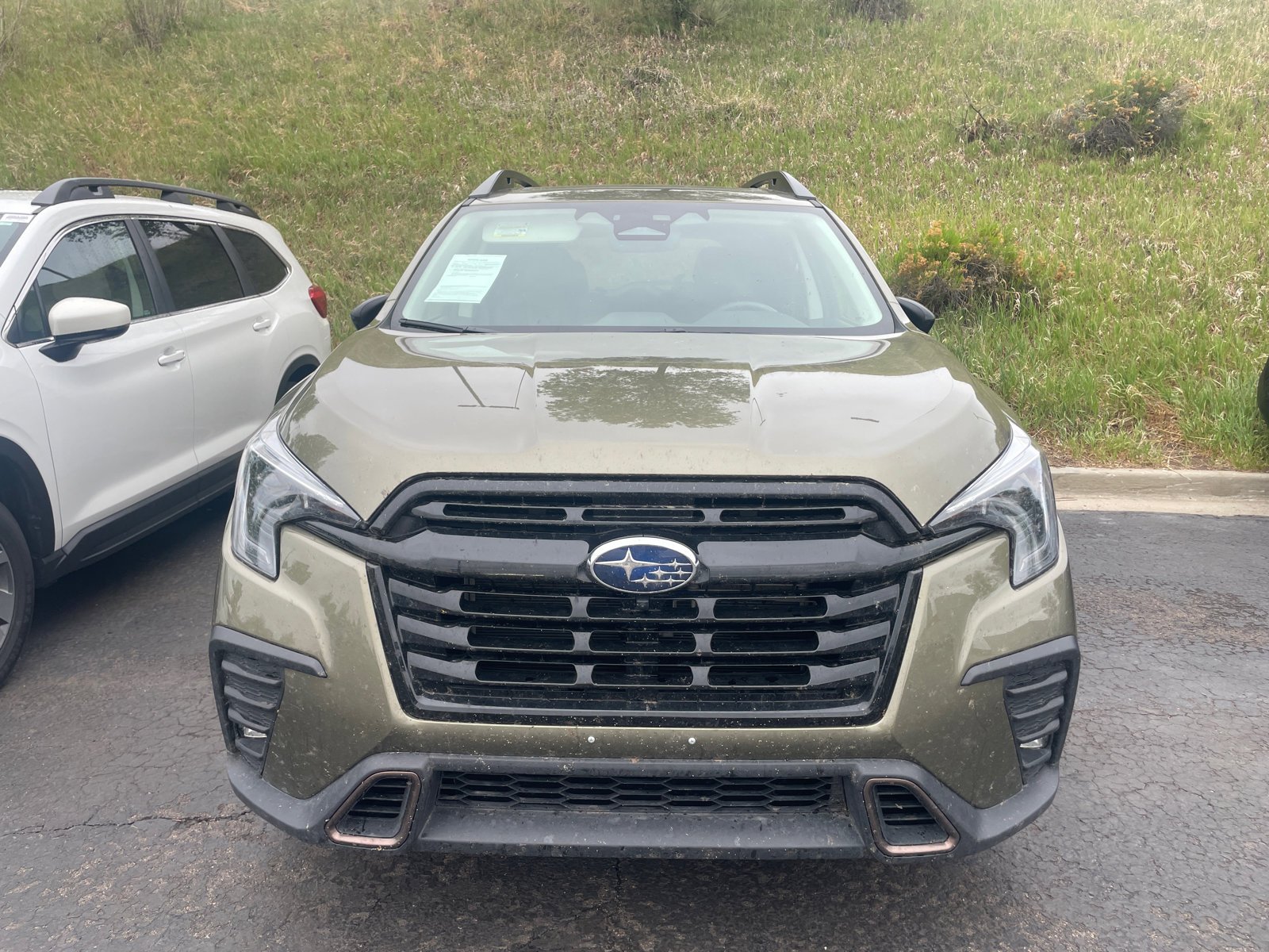subaru ascent 2025 4S4WMARD0S3415875 image subaru ascent 2025 4S4WMARD0S3415875 image