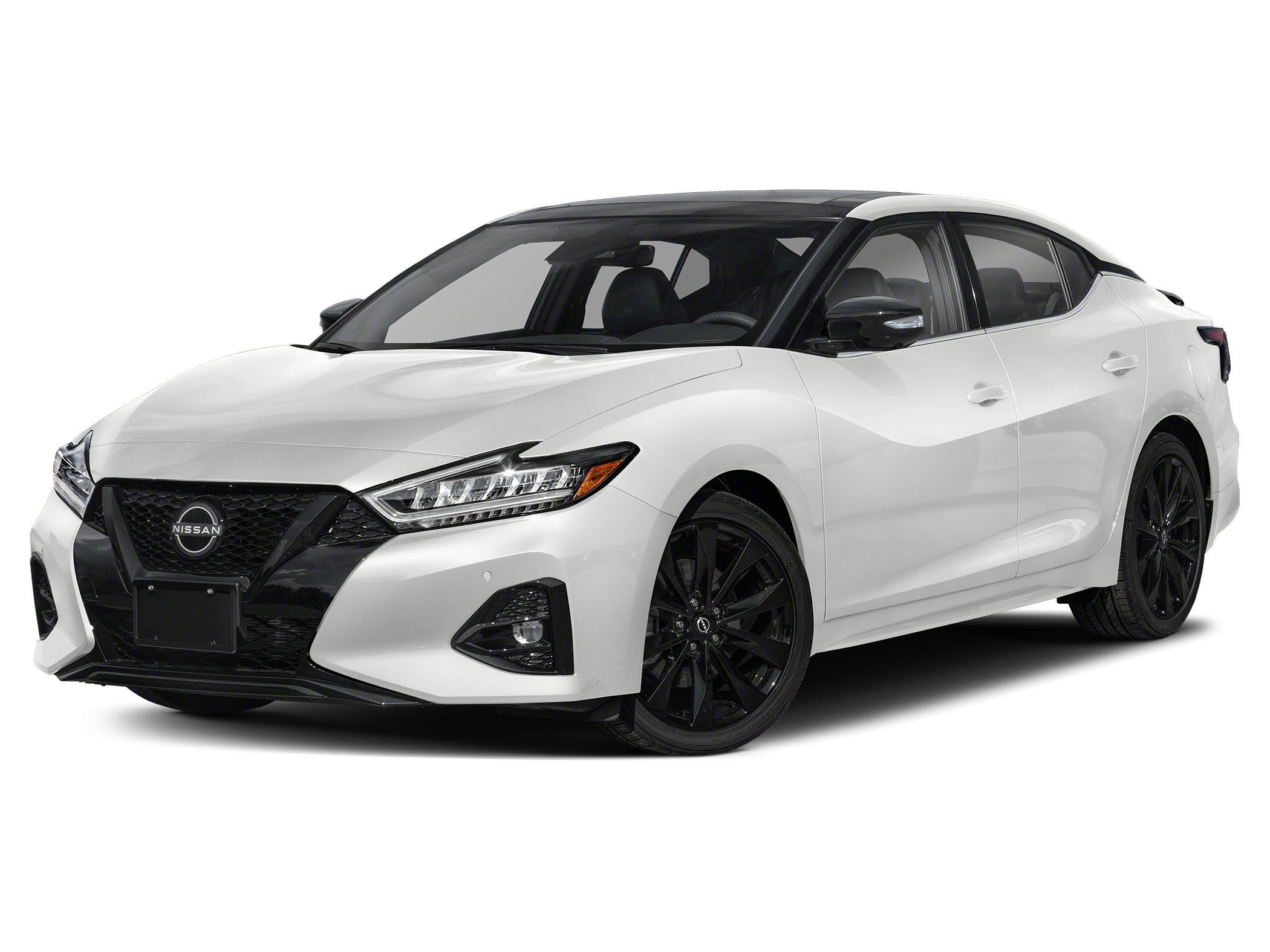 nissan maxima 2023 1N4AA6EV4PC503800 image