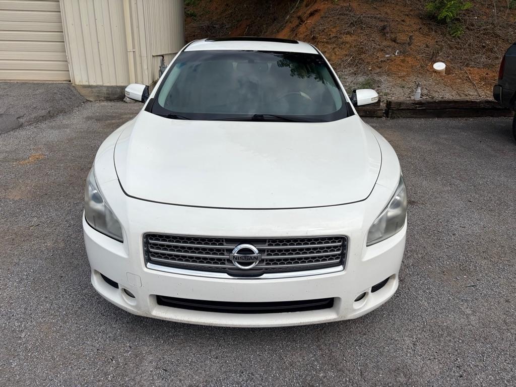 nissan maxima 2009 1N4AA51E99C831300 image nissan maxima 2009 1N4AA51E99C831300 image