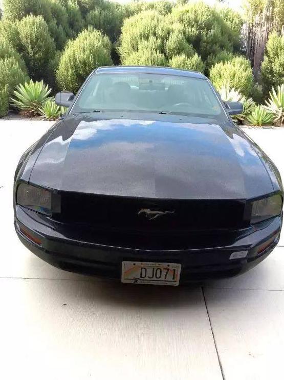 FORD MUSTANG 2007 1ZVFT80N175336956 image