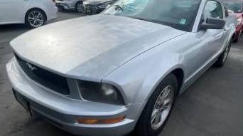 FORD MUSTANG 2006 1ZVFT80N065153059 image