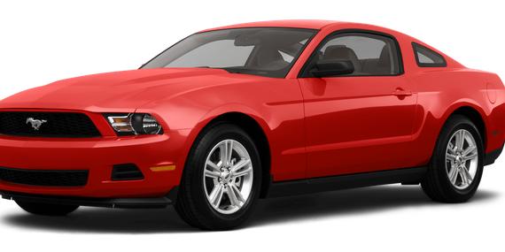 FORD MUSTANG 2011 1ZVBP8AM2B5103377 image
