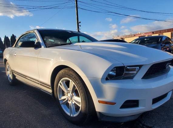FORD MUSTANG 2011 1ZVBP8EM6B5151393 image FORD MUSTANG 2011 1ZVBP8EM6B5151393 image