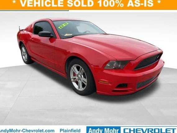 FORD MUSTANG 2013 1ZVBP8AM1D5231130 image
