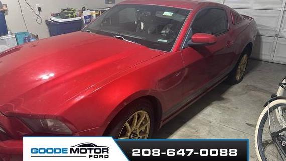 FORD MUSTANG 2013 1ZVBP8AM5D5217294 image