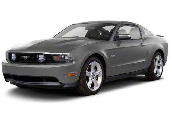 FORD MUSTANG 2010 1ZVBP8AN1A5164713 image