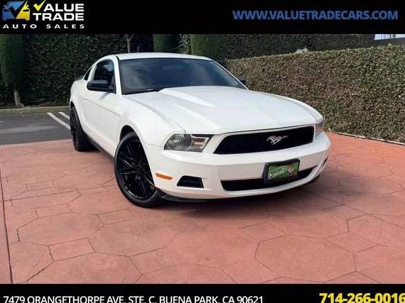 FORD MUSTANG 2010 1ZVBP8AN3A5101225 image