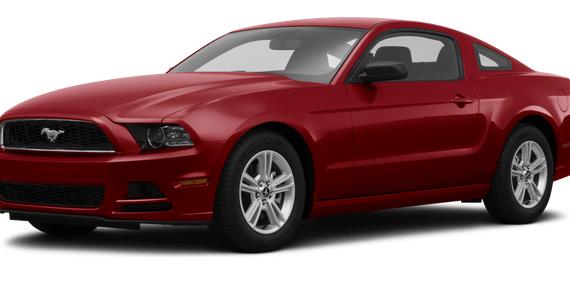 FORD MUSTANG 2014 1ZVBP8AM1E5202583 image