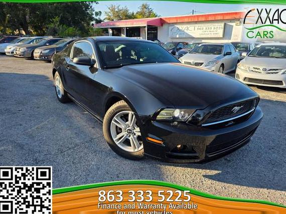 FORD MUSTANG 2014 1ZVBP8AM5E5273513 image FORD MUSTANG 2014 1ZVBP8AM5E5273513 image