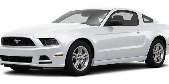 FORD MUSTANG 2014 1ZVBP8AM0E5235042 image