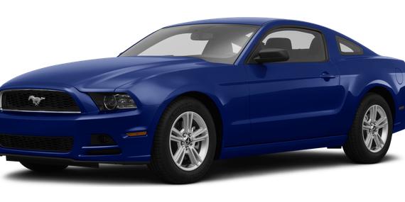 FORD MUSTANG 2014 1ZVBP8AM2E5282959 image FORD MUSTANG 2014 1ZVBP8AM2E5282959 image