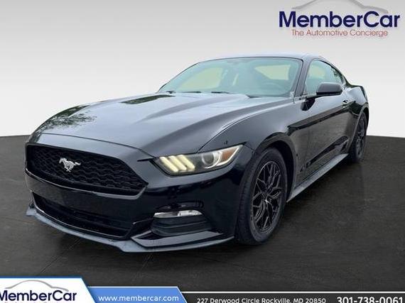 FORD MUSTANG 2015 1FA6P8AM0F5348324 image