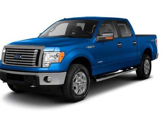 FORD F-150 2010 1FTEW1C81AFB69373 image